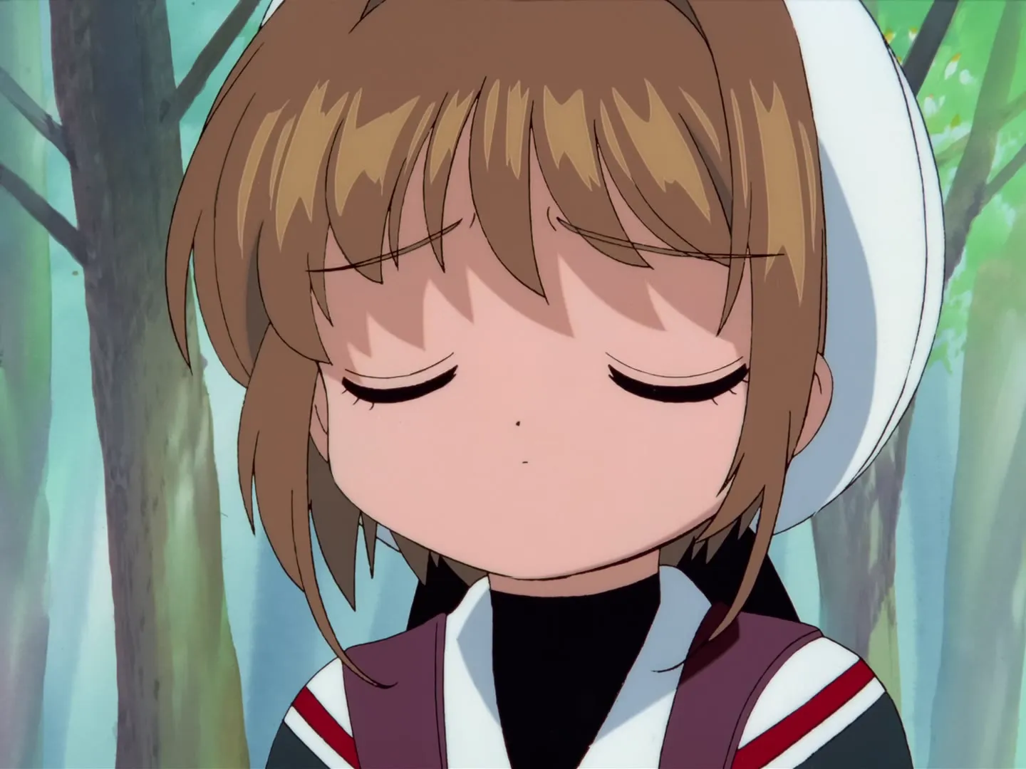 Tu es formidable, Sakura ! Le journal vidéo de Tomoyo — spécial — capture 7