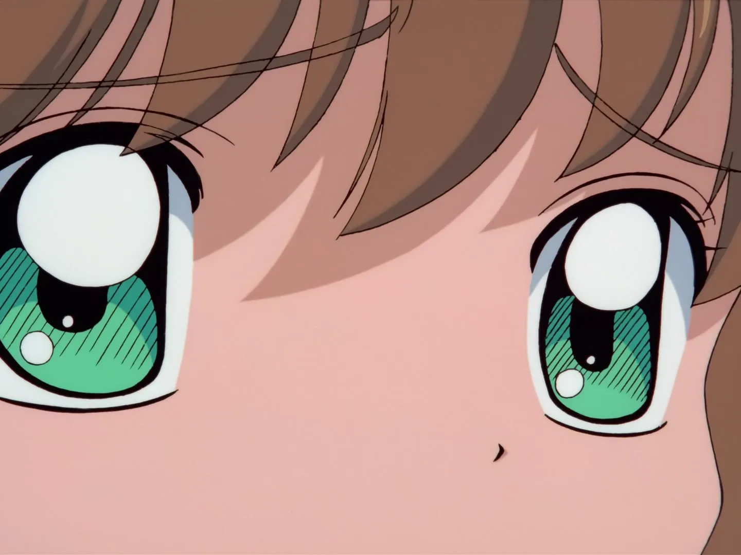Tu es formidable, Sakura ! Le journal vidéo de Tomoyo — spécial — capture 9