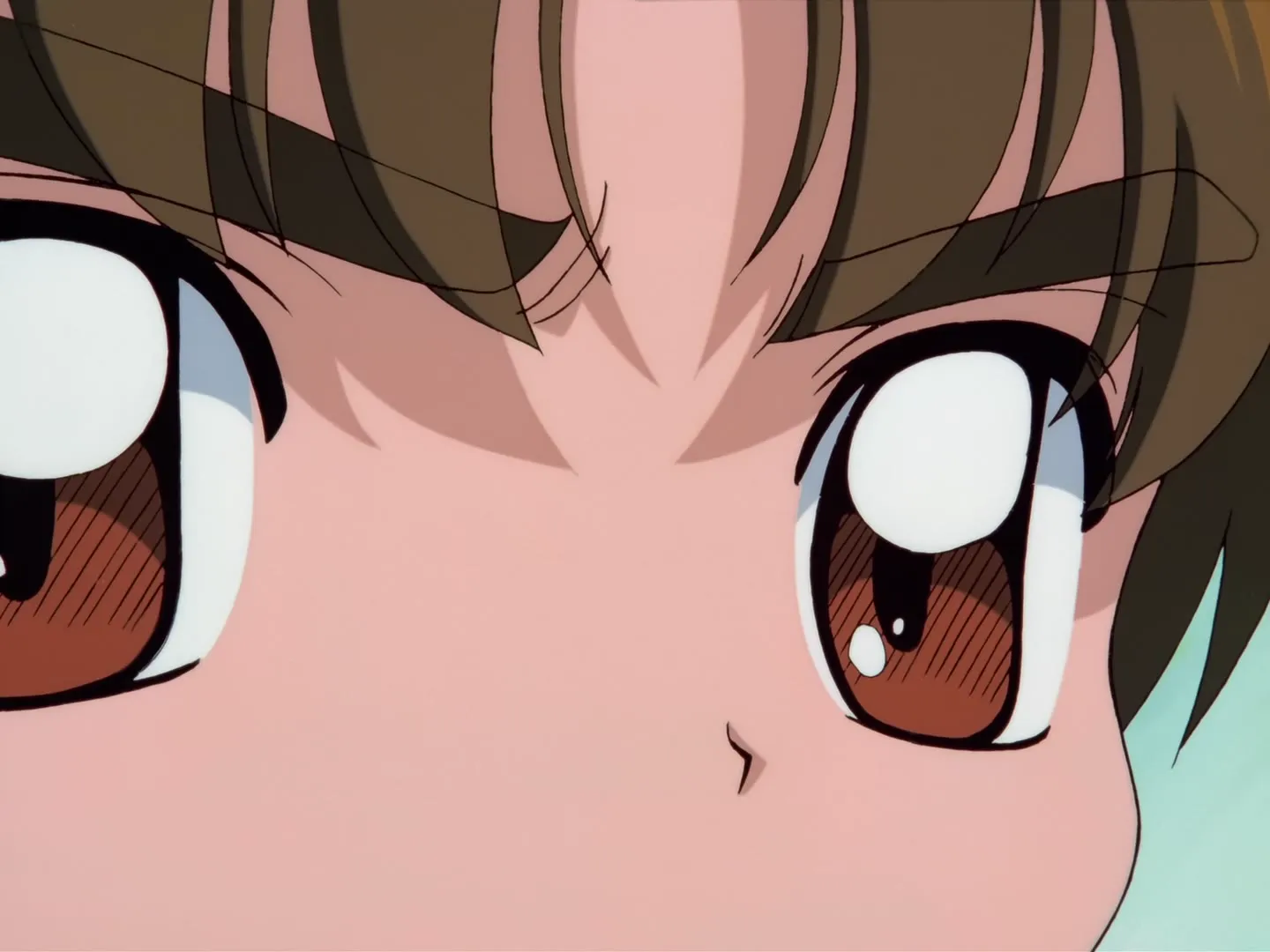 Tu es formidable, Sakura ! Le journal vidéo de Tomoyo — spécial — capture 10