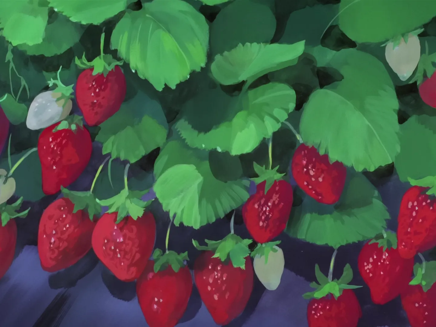 L'aventure de la cueillette de fraises de Sakura — capture 5