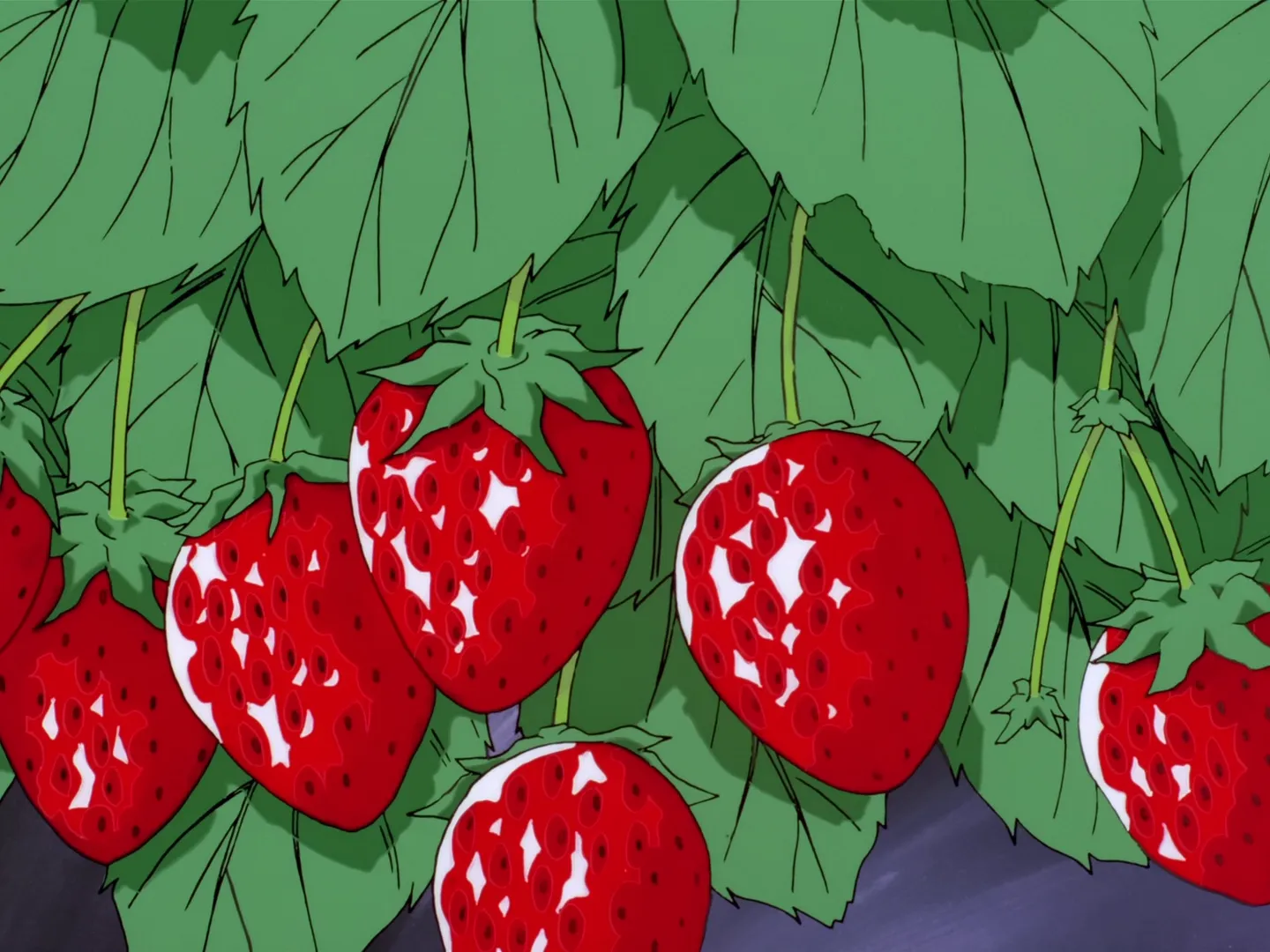 L'aventure de la cueillette de fraises de Sakura — capture 6