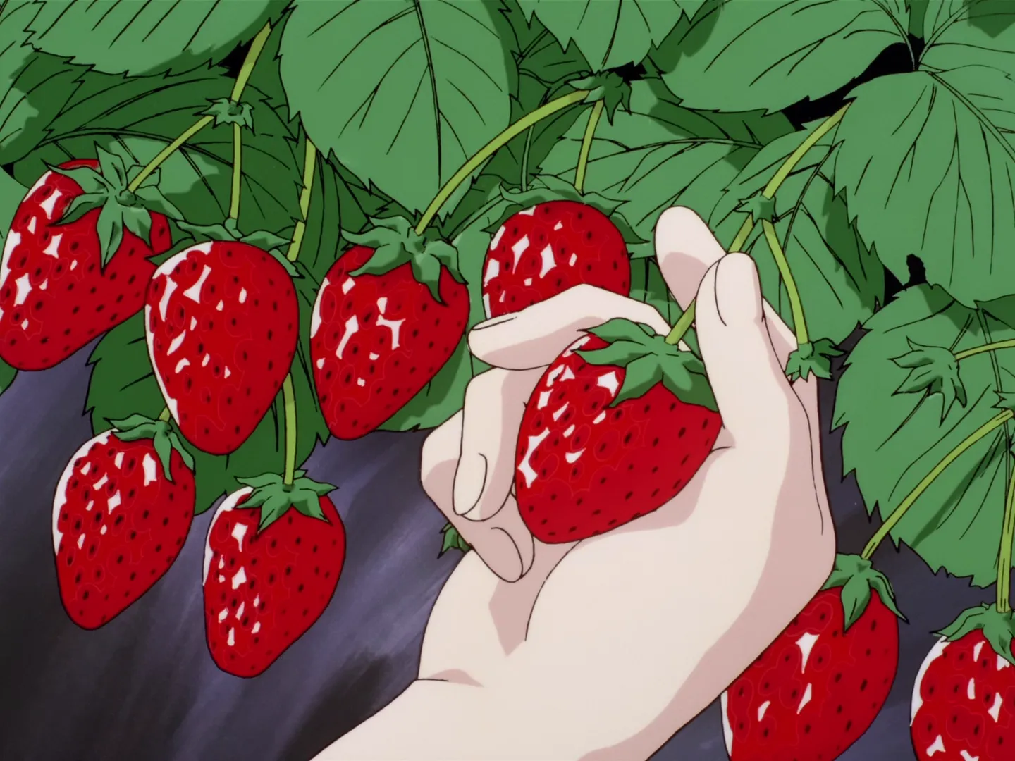 L'aventure de la cueillette de fraises de Sakura — capture 7