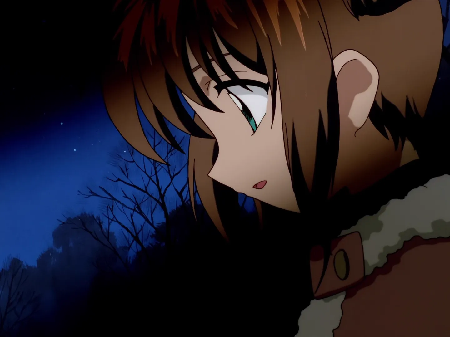 Sakura, Shaoran et le sanctuaire Tsukimine — capture 26